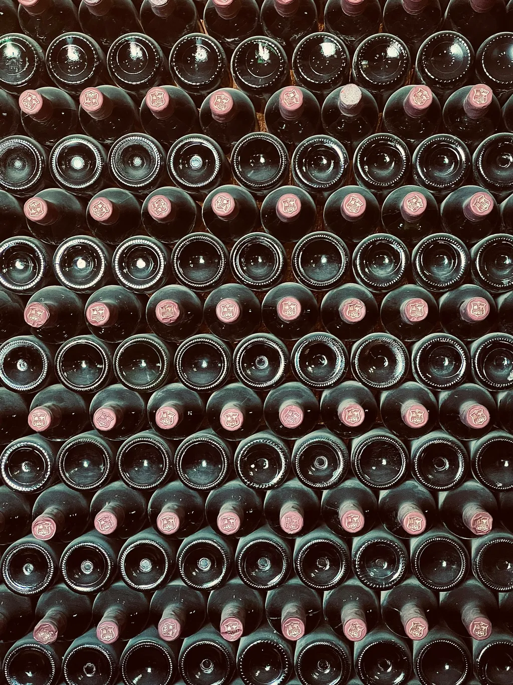 Rows of dusty aged bottles resting in a deep cellar archive