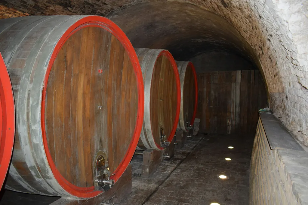 Rows of oak barrels aging wine in a cellar