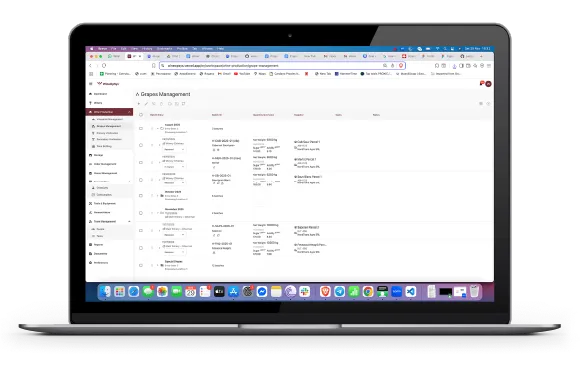 Grapes Management — WineOpSys dashboard