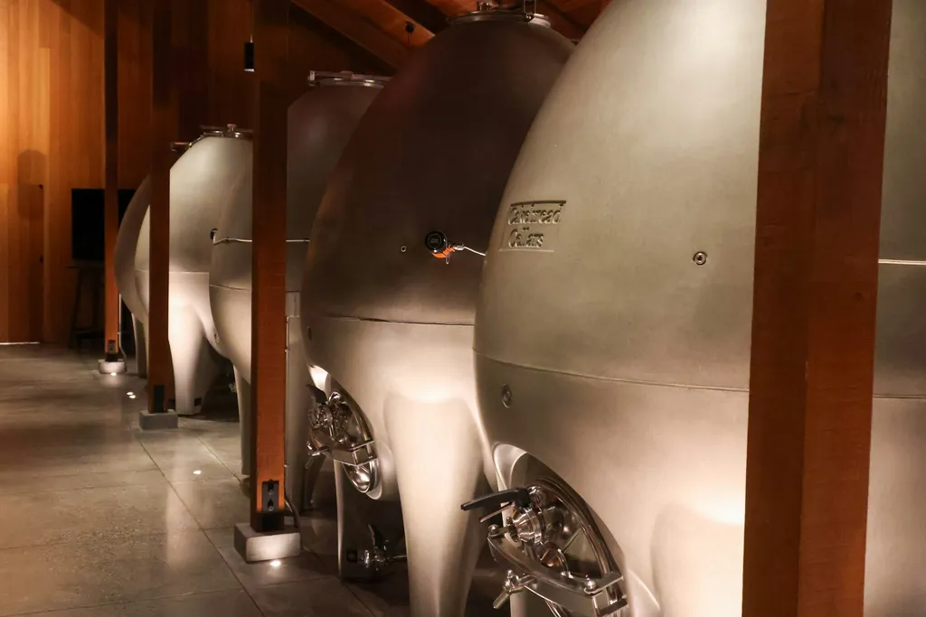 A row of stainless steel fermentation tanks in a modern winery