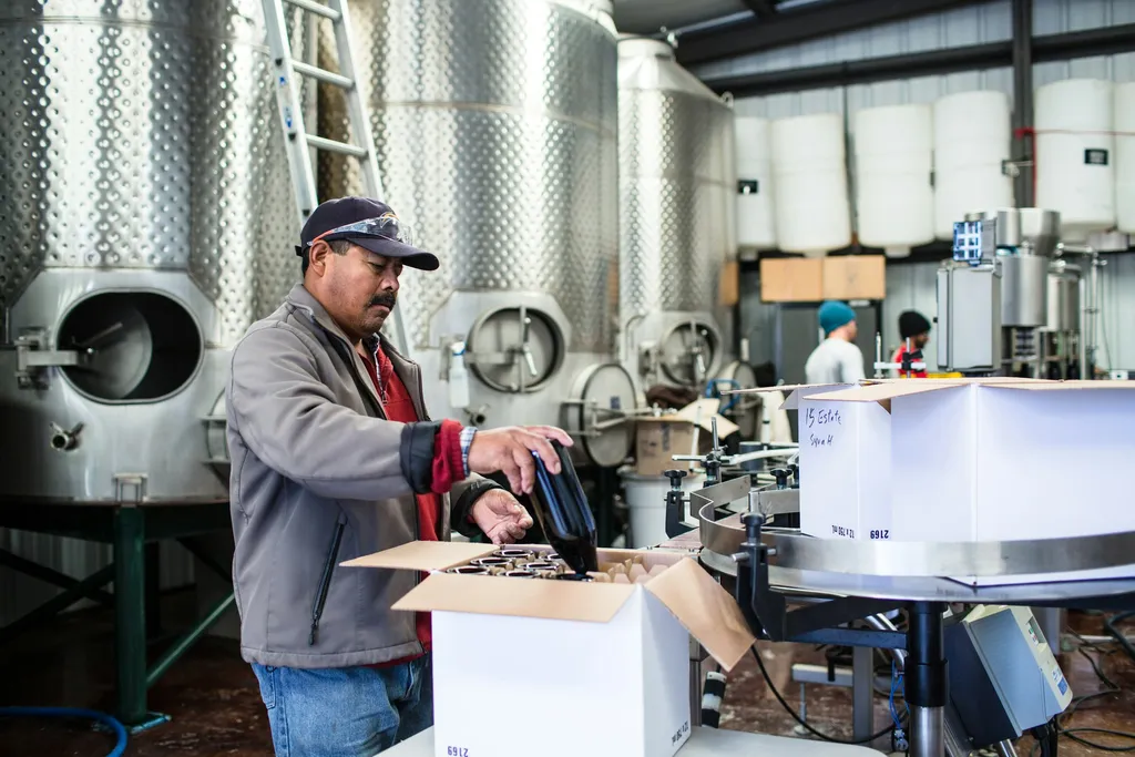 A winemaker checking paper records against tanks in a cellar